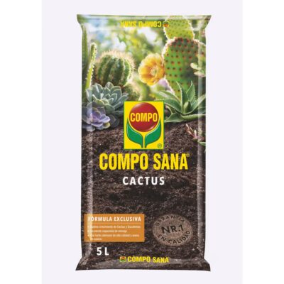 cactus sustrato